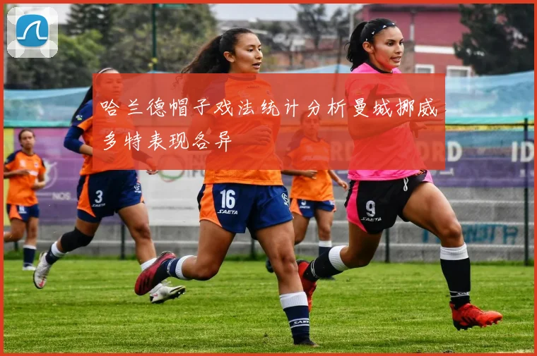 哈兰德帽子戏法统计分析曼城挪威多特表现各异