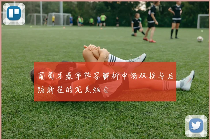 葡萄牙豪华阵容解析中场双核与后防新星的完美组合