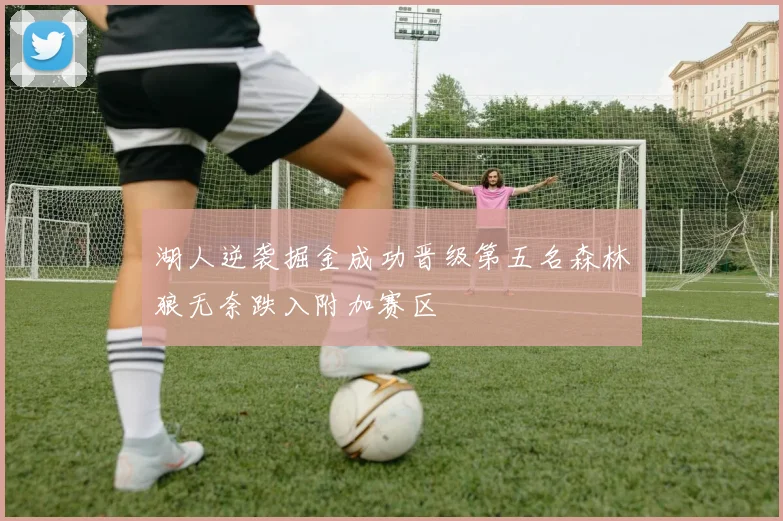 湖人逆袭掘金成功晋级第五名森林狼无奈跌入附加赛区